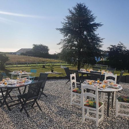 Bed and Breakfast La Veuzaine Onzain Zewnętrze zdjęcie