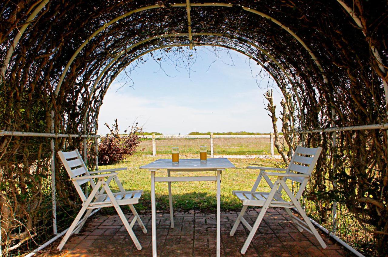 Bed and Breakfast La Veuzaine Onzain Zewnętrze zdjęcie
