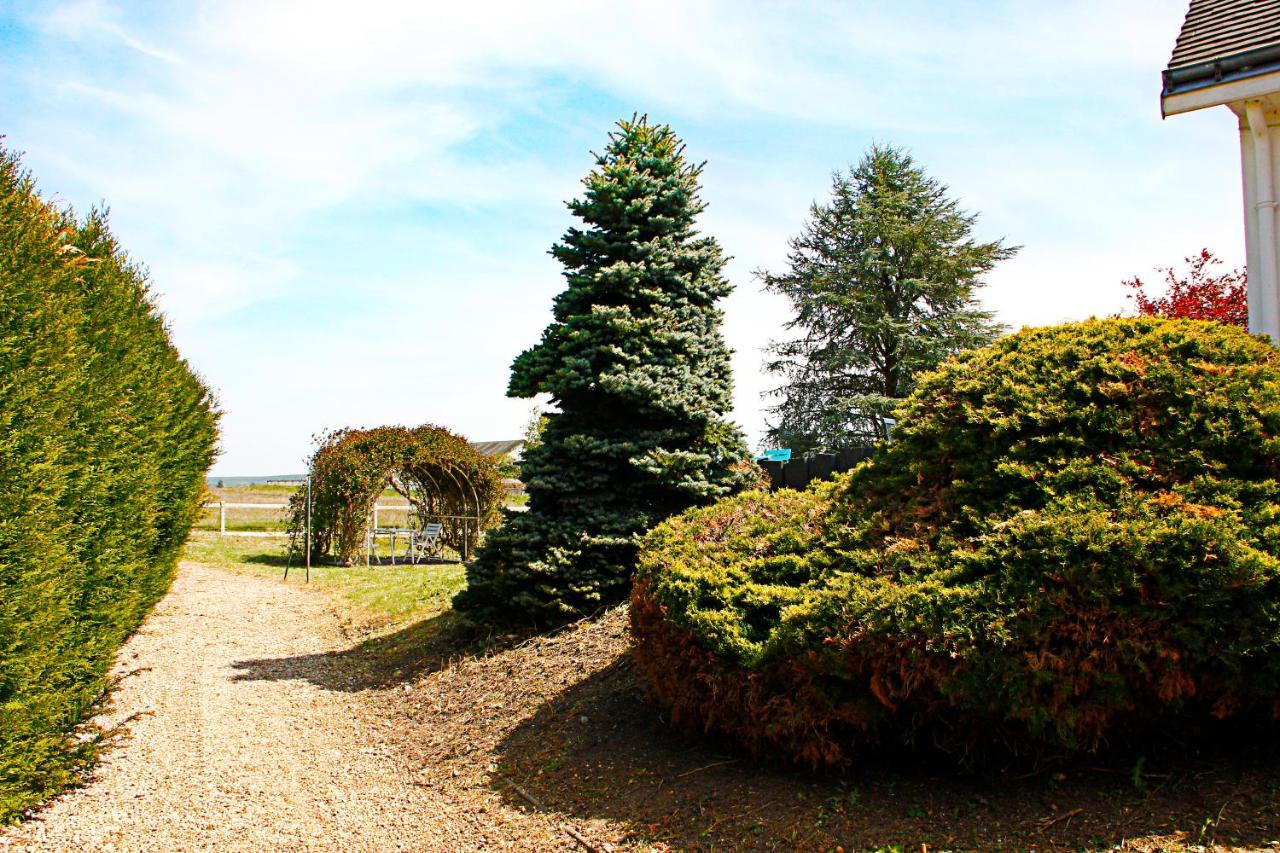 Bed and Breakfast La Veuzaine Onzain Zewnętrze zdjęcie