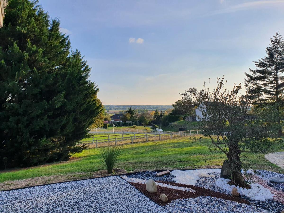 Bed and Breakfast La Veuzaine Onzain Zewnętrze zdjęcie
